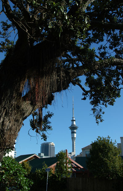 Auckland