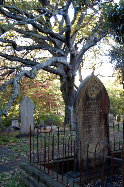 Old Cemetary, Auckland