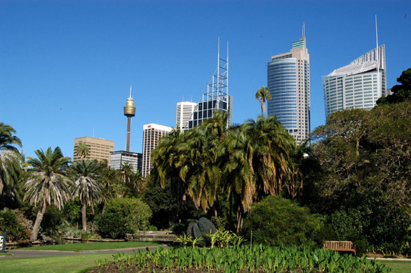 Royal Botanical Gardens, Sydney