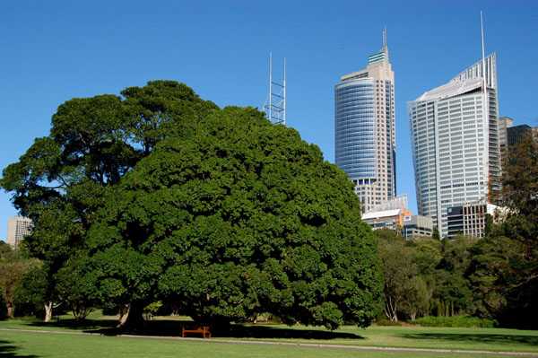 Royal Botanical Gardens, Sydney