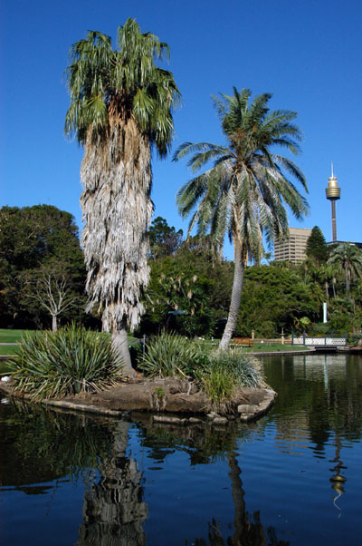 Royal Botanical Gardens