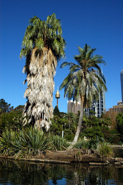 Royal Botanical Gardens