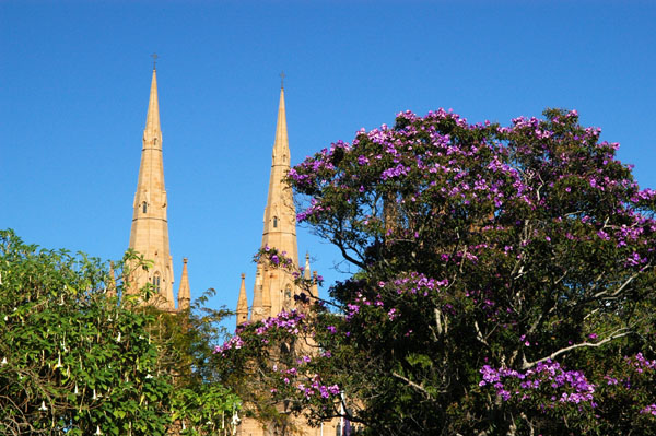 Spires of St. Mary's Cathedral, Sydney