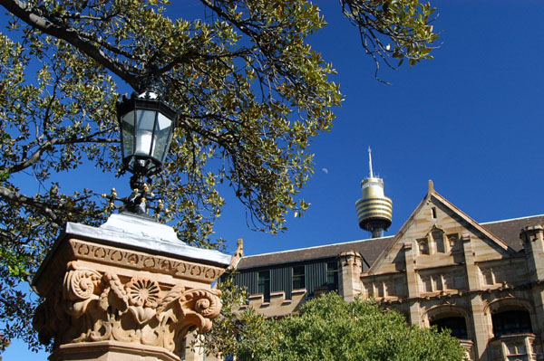 Prince Albert Road, Sydney