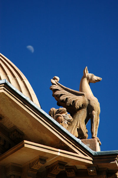 Griffon and the moon