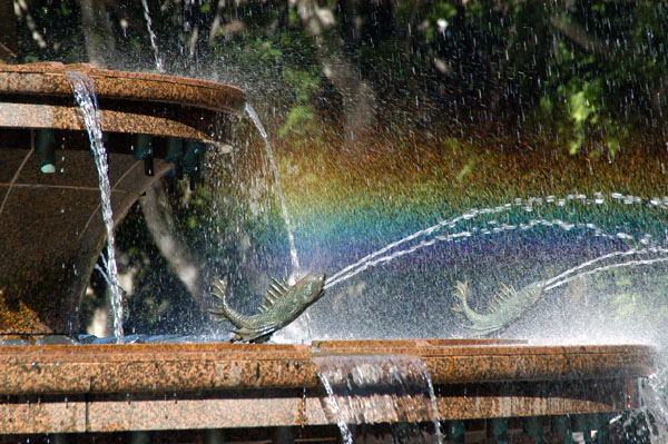 Rainbow, Archibald Fountains, Hyde Park