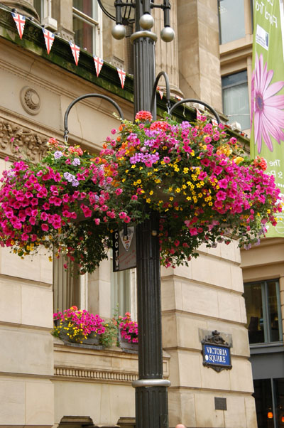 Victoria Square - flower baskets