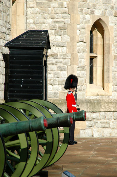 Guard with a row of cannon in front of the Jewel House