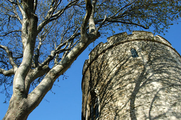 Lanthorn Tower
