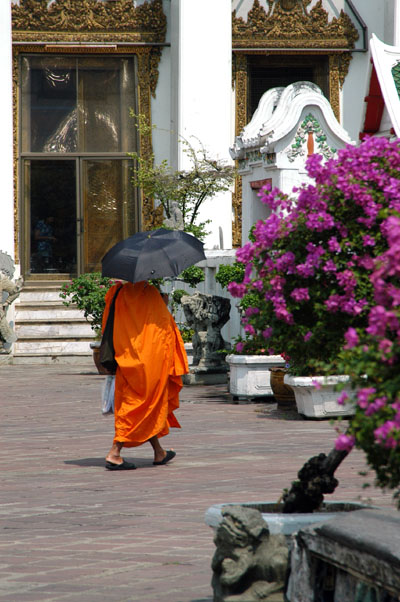 Monk with an umbrella