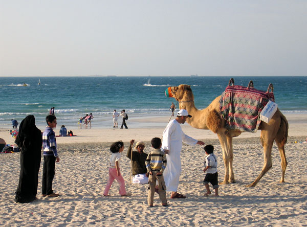 Camel on the beach near the Burj