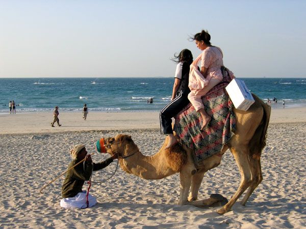Camel rides on the beach in Dubai