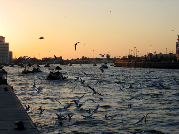 Evening along Dubai Creek