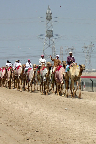 Dubai Camel Track, Nad al Sheba