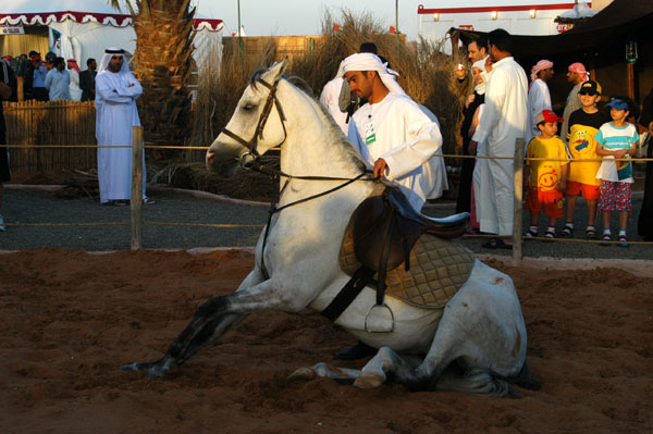 Arabian horse demonstration, Emirates Heritage Club, Al Ain