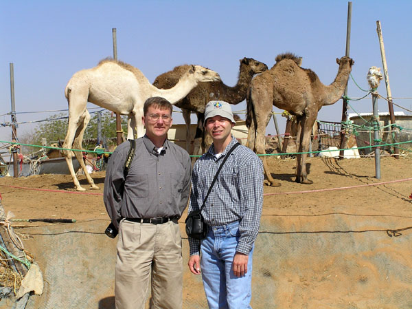 Brian & Roy, Al Ain Camel Market