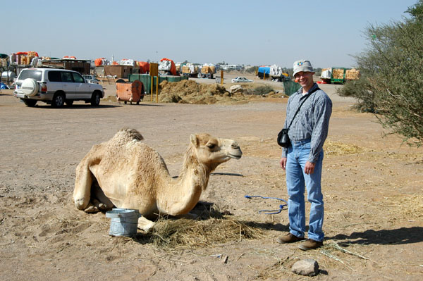 Roy, Al Ain Camel Market