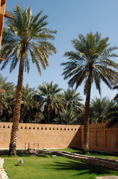 Courtyard with palms