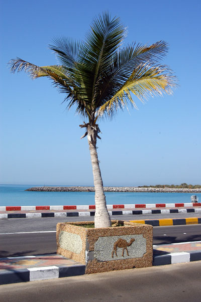 Palm on the causeway, A.D.