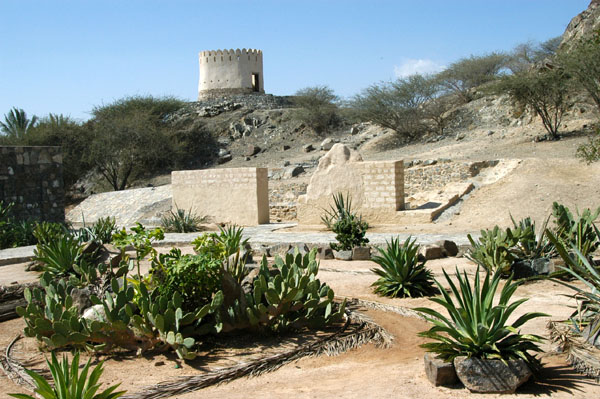 Cactus Garden around Al Bidyah Mosque with a watchtower on the hill