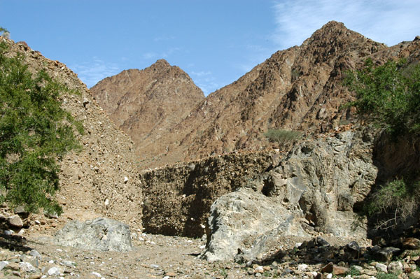 Wadi Madhah cuts deep into the rugged Hajar Mountains