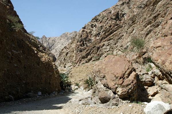 A 3 km detour off Wadi Madhah from Hijer Bani Humayd leads to pools at the end of Wadi Shis
