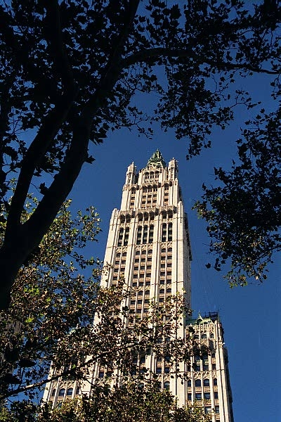 The Woolworth Building