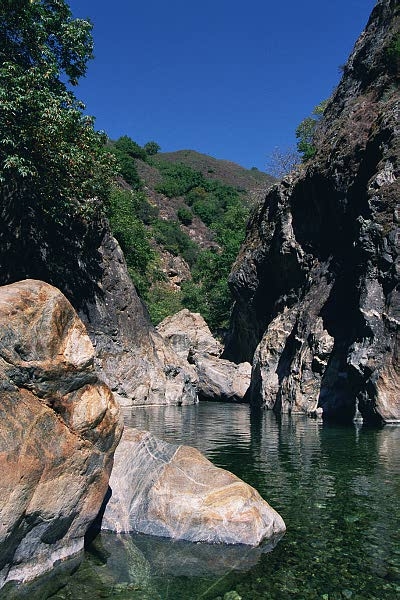 Los Padres National Forest