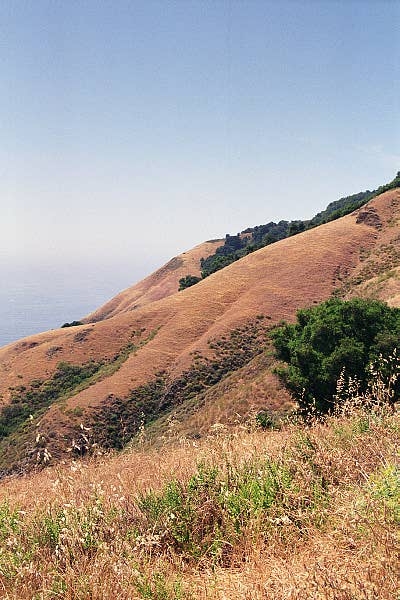 Pfeiffer Big Sur SP