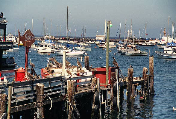 Fisherman's Wharf, Monterey