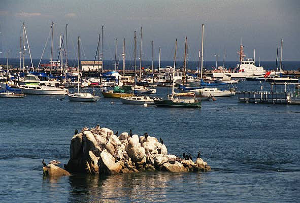 Marina, Monterey