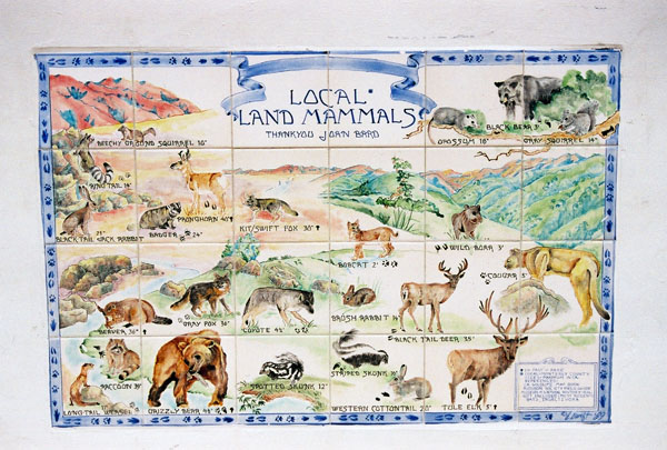 Tilework depicting local wildlife, Custom House Plaza