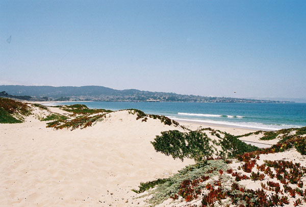 Dunes by Marina, California, north of Monterey