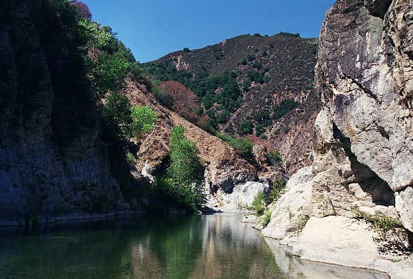 Los Padres National Forest