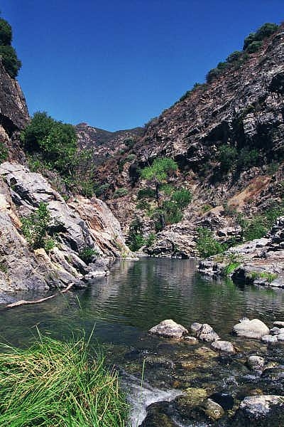 Los Padres National Forest