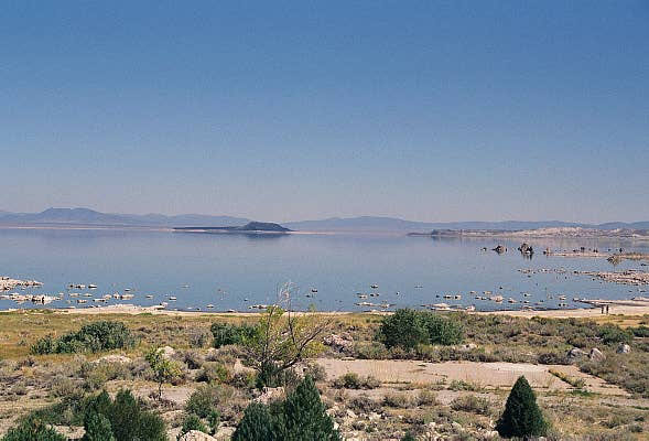 The water of Mono Lake is 3x saltier than the ocean
