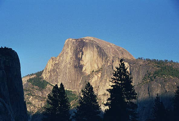 Half Dome from the floor of Yosemite Valley