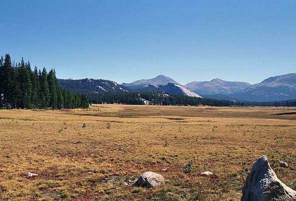 Tuolumne Meadows, Yosemite National Park