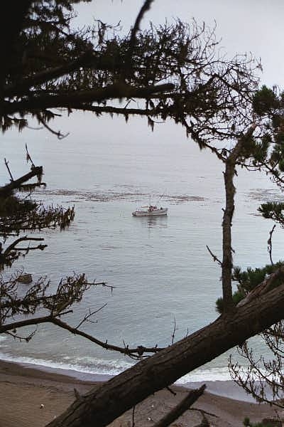 Fishing boat near Stewarts Point