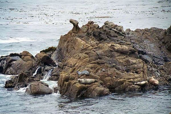 Rocks off the Sonoma coast