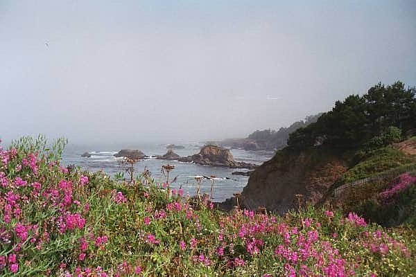 Coast between Mendocino and Fort Bragg