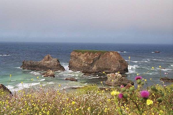 North Mendocino County coast