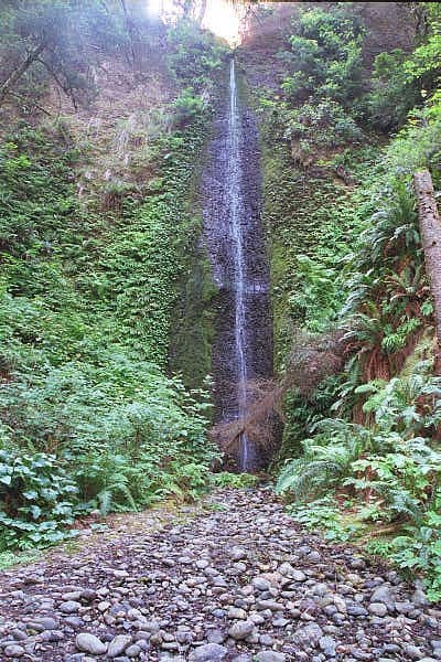 Waterfall in Redwood NP