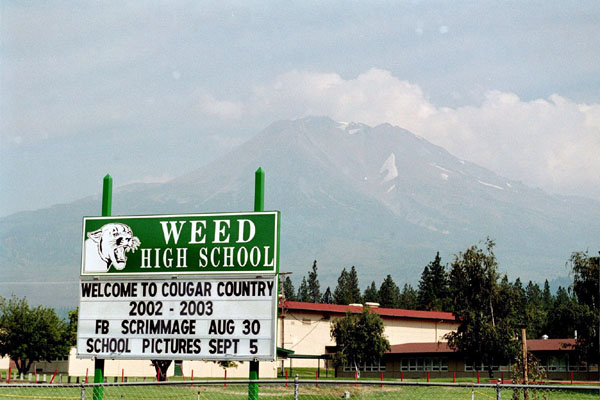 Weed, California...what a name...Mt. Shasta