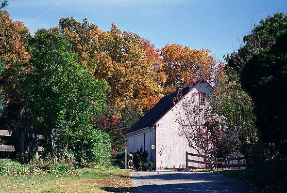 Old barn with autumn colors, Maryland