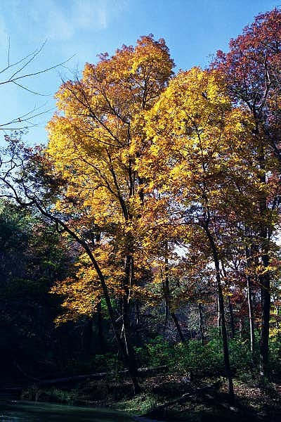 Big Gunpowder River