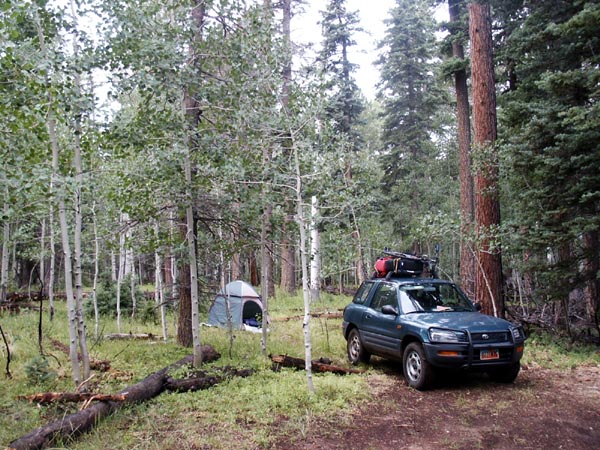 Camping in the Kaibab National Forest
