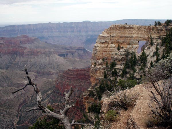 Gand Canyon, Cape Royal - North Rim