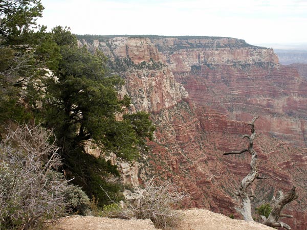 Gand Canyon, North Rim