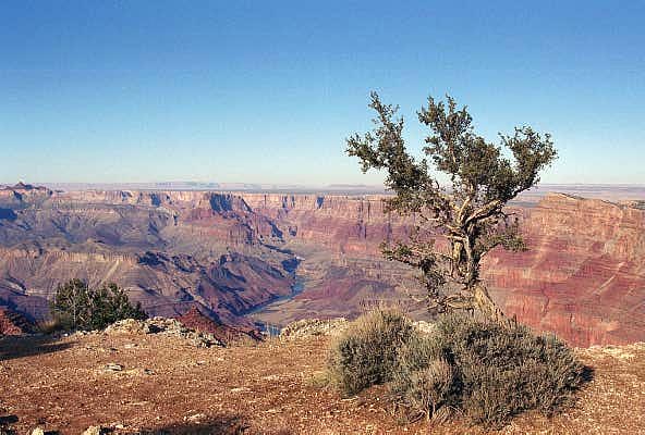 Grand Canyon, South Rim